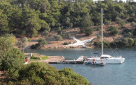 DALAMAN ORMANLARINDA BU KEZ ZİLYET VURGUNU