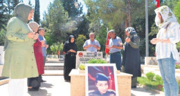 Üç yapraklı yoncanın üç yürekli annesi
