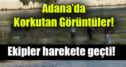 Adana’da  Korkutan Görüntüler!