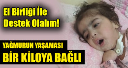 YAĞMURUN YAŞAMASI BİR KİLOYA BAĞLI
