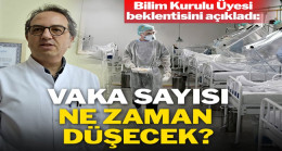 Bilim Kurulu üyesi açıkladı: Vaka sayısı ne zaman düşecek?