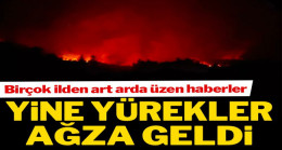 Daha yaz gelmeden art arda üzen haberler!