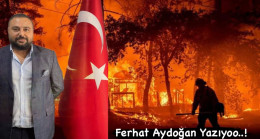 Ferhat Aydoğan ; Doğa ve Orman için Canından Olanlar Şehit Sayılmalı