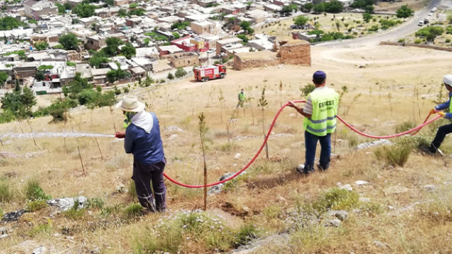 GELECEĞE NEFES OLDU