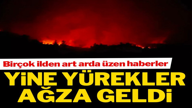 Daha yaz gelmeden art arda üzen haberler!