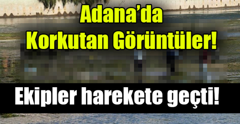 Adana’da  Korkutan Görüntüler!