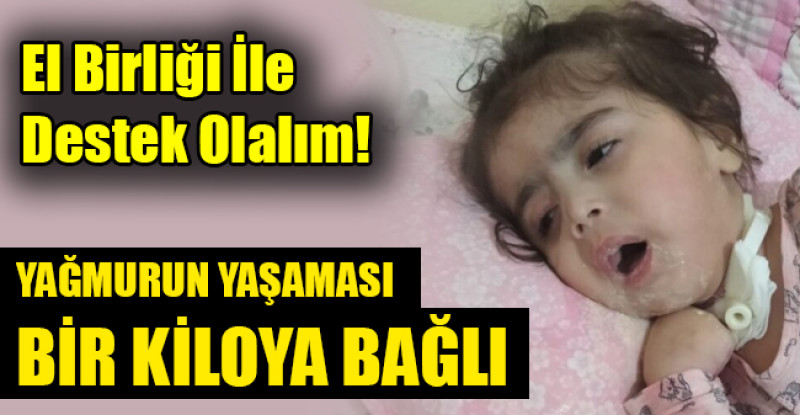 YAĞMURUN YAŞAMASI BİR KİLOYA BAĞLI