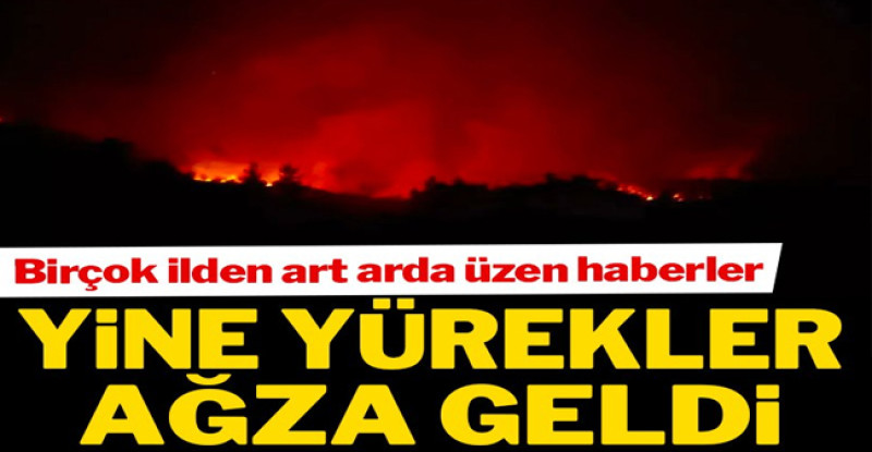 Daha yaz gelmeden art arda üzen haberler!