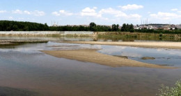 Bulgaristan’da Meriç Nehri’nden su içen ineklerin telef olduğu iddiası üzerine Türkiye harekete geçti