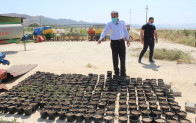 SİLAHTAN DAHA DEĞERLİ       