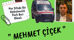 Her Sitede Bir Ambulanslık Park Yeri Olmalı