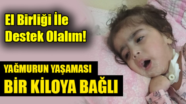 YAĞMURUN YAŞAMASI BİR KİLOYA BAĞLI