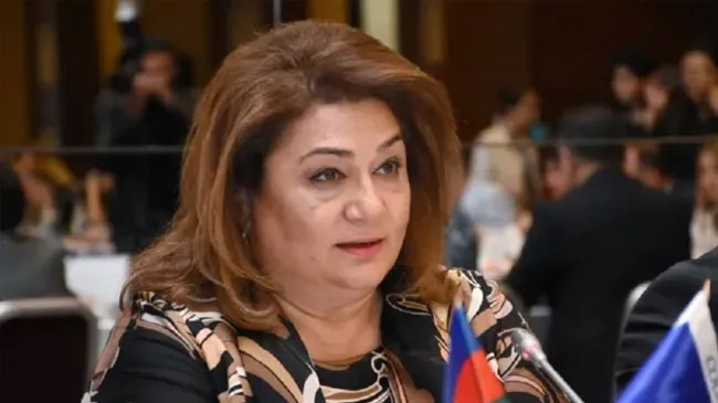 Milletvekilinden adil öneri: “Ermeni mezalimleri hakkında farklı dillerde bilgi panoları oluşturulmalı…”