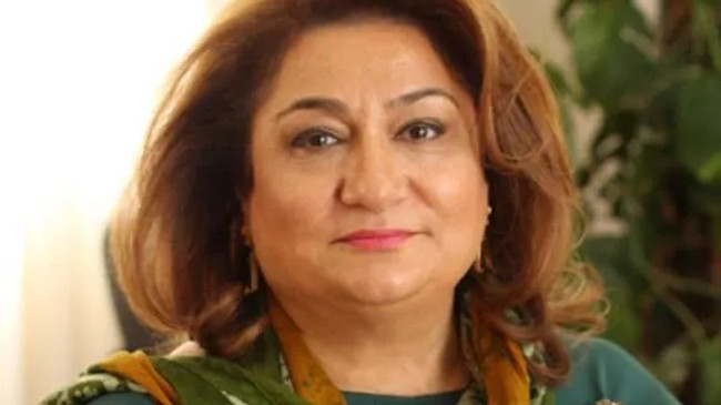 Azerbaycan Milletvekili: “ Bakü’de düzenlenen TEKNOFEST Azerbaycan-Türk kardeşliğinin en eşsiz örneğidir”