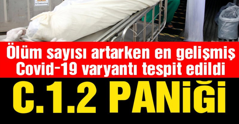 C.1.2 varyantı tespit edildi