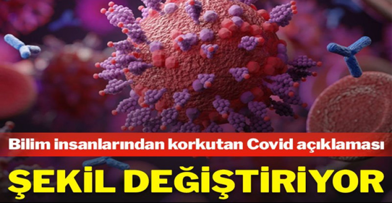 Bilim insanları uyardı: Birkaç Covid varyantı aynı anda bulaşabilir